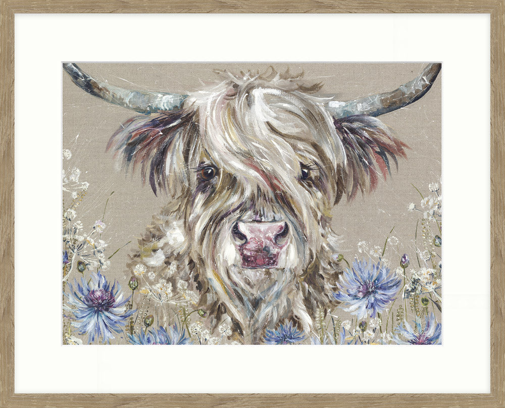 Cornflower by Nicola Rowles