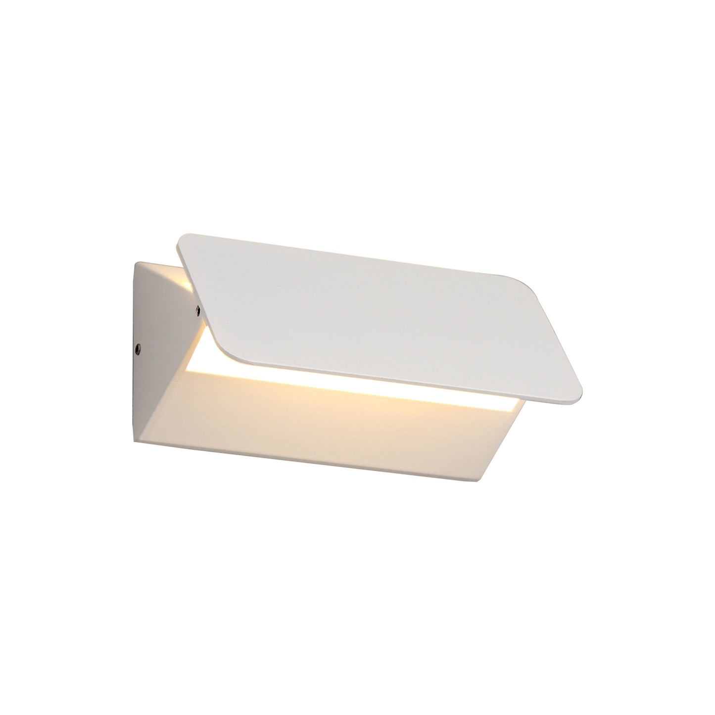 Holly Outdoor Up & Down Wall Light