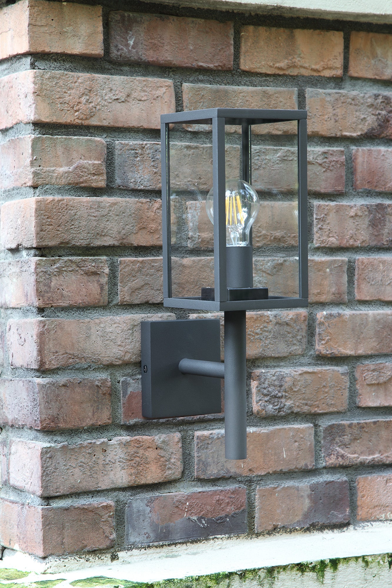Rose Outdoor Upward Wall Lamp