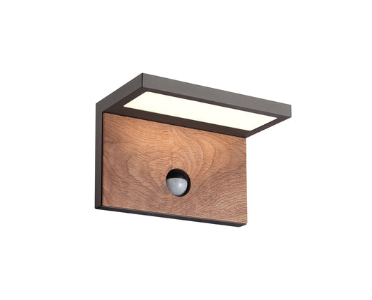 Iris Outdoor PIR Wall Lamp