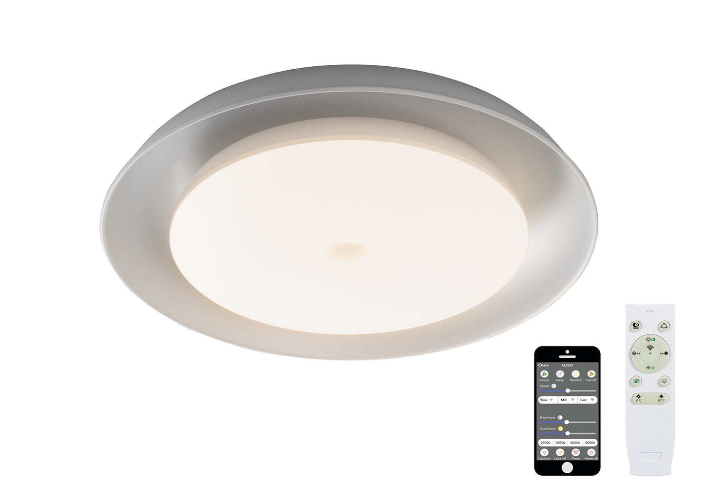 Acadia Bluetooth & Remote Control Speaker Flush Light